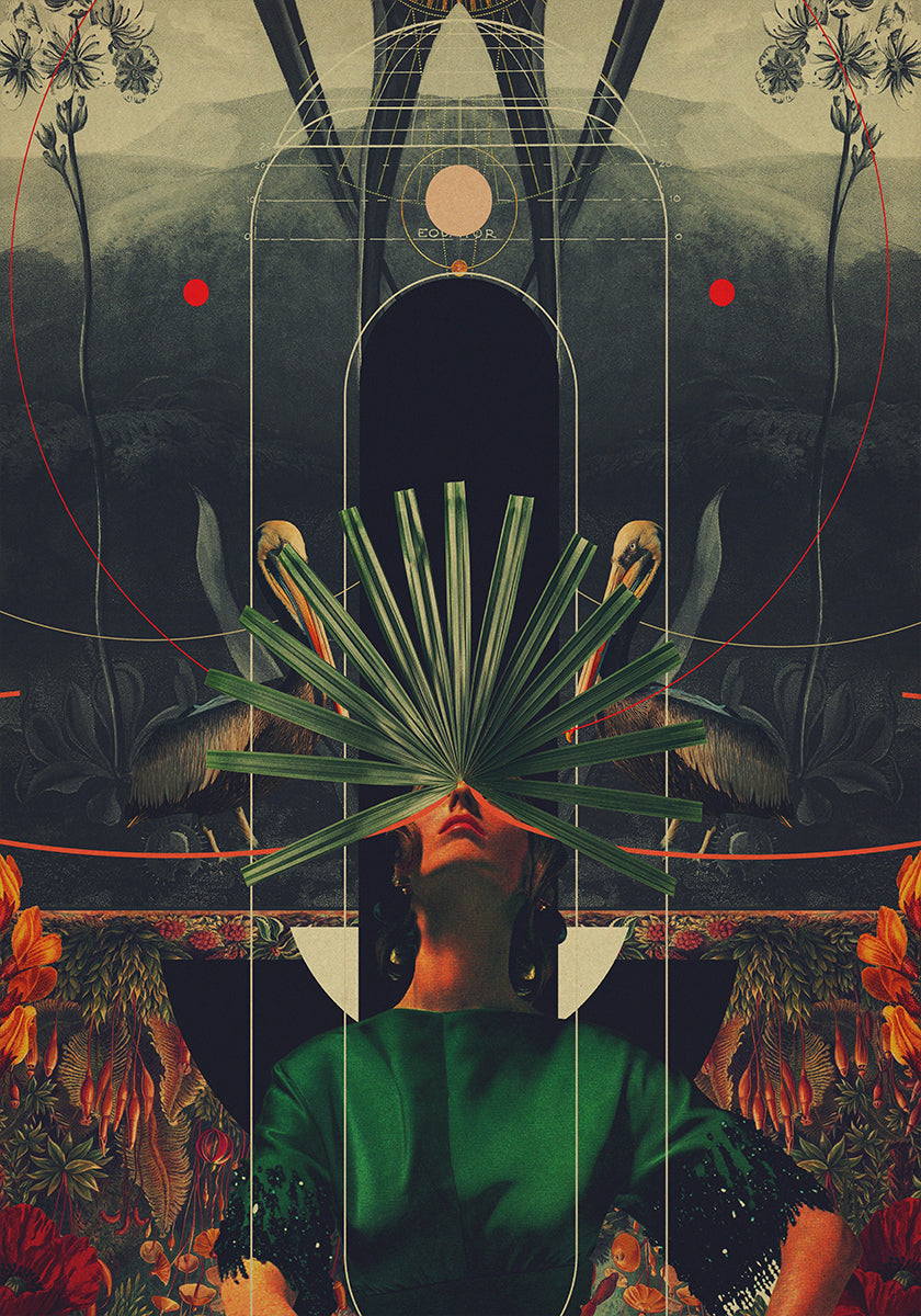 She Saw the Equator Plakat