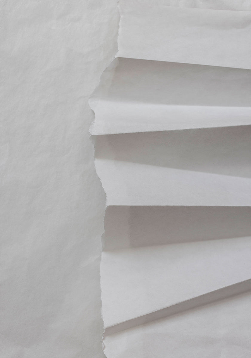 Paper Studies 12