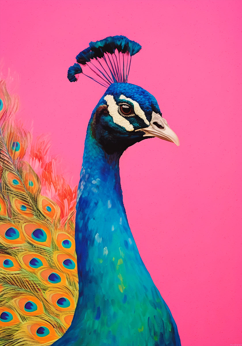 Peacock's Vibrance Plakat