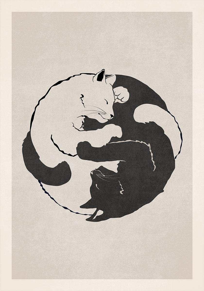 Feline Harmony Plakat