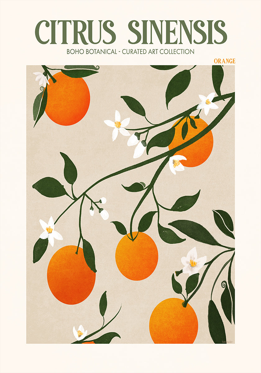 Orange Elegance Plakat