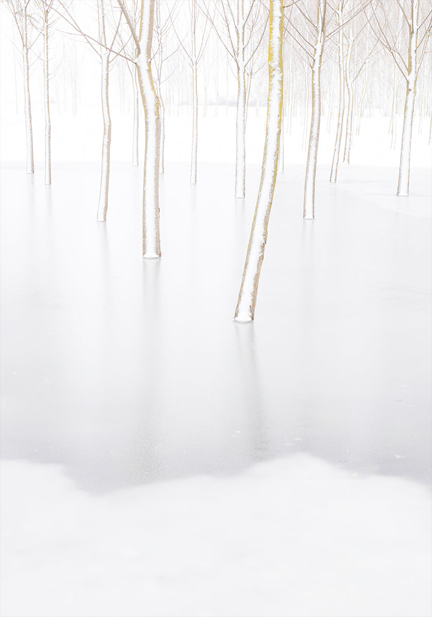 Winter Reflection Plakat