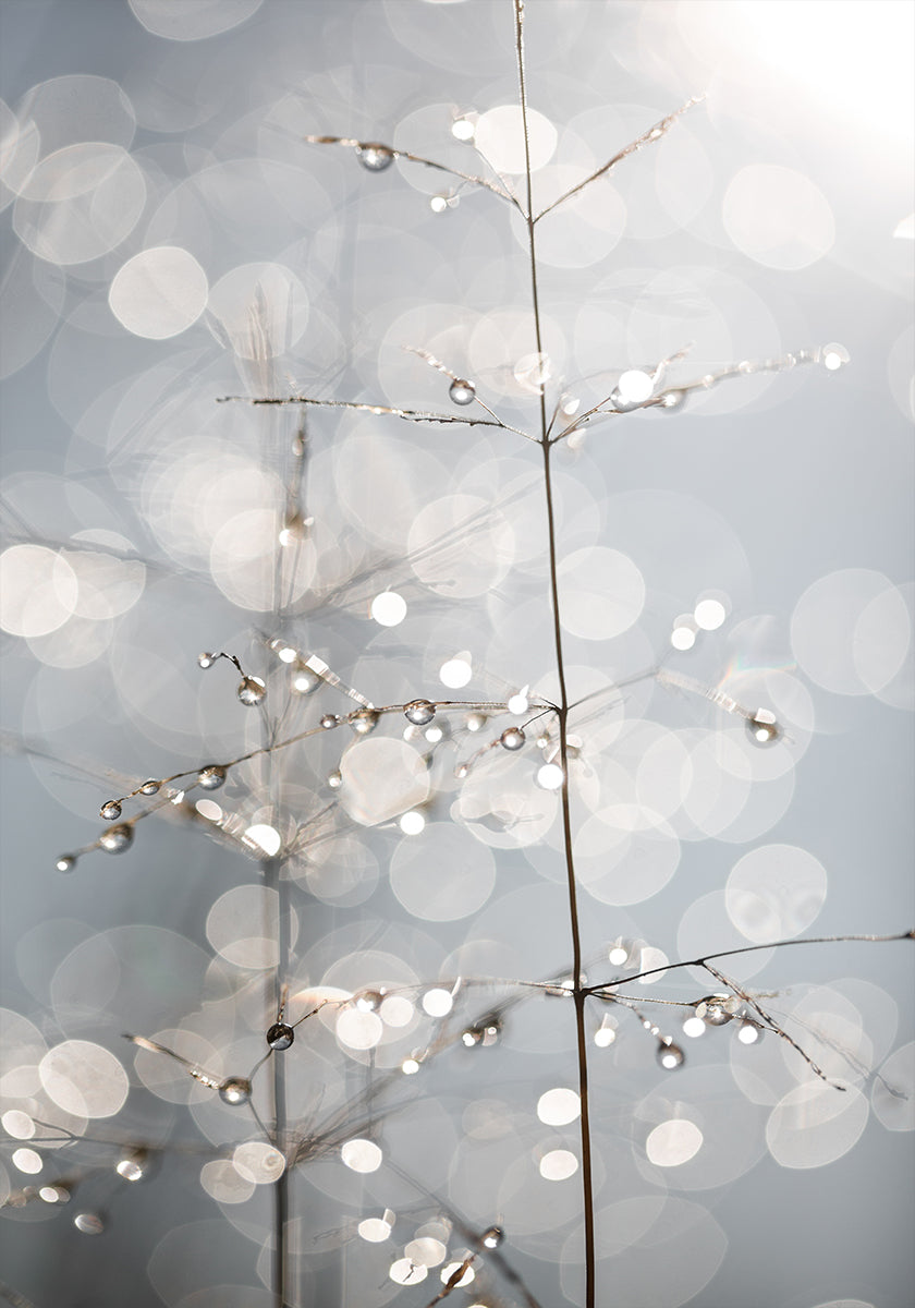Natural Sparkle
