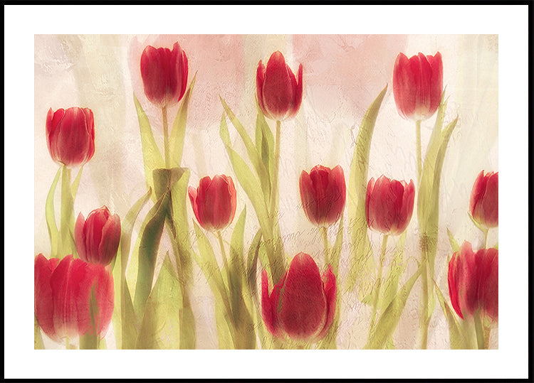 Happy tulips Plakat
