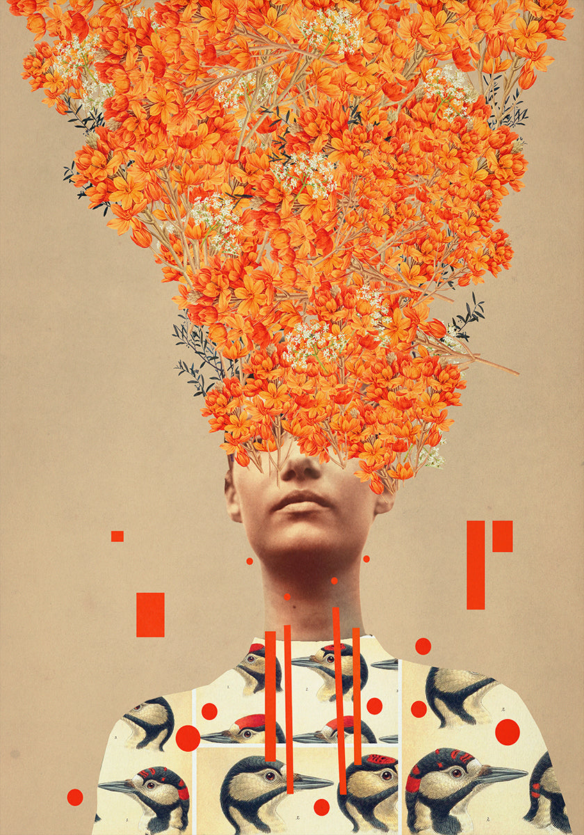 Bird Flight In Autumn Plakat