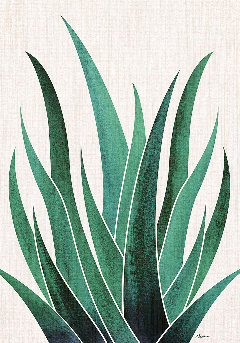 Desert Agave Cactus