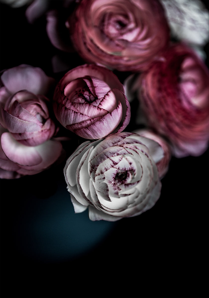 Dark Flowers 2 Plakat