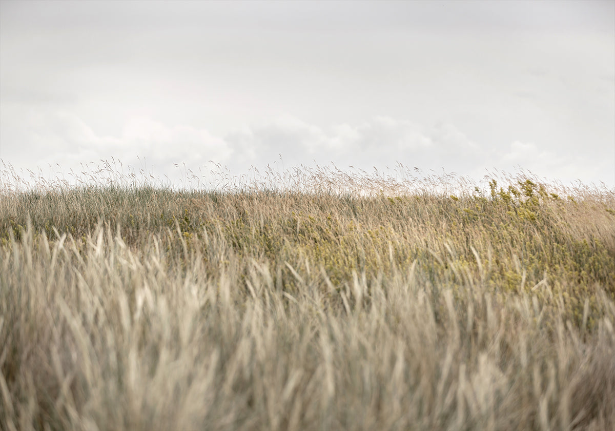 Dunes and Clouds 2