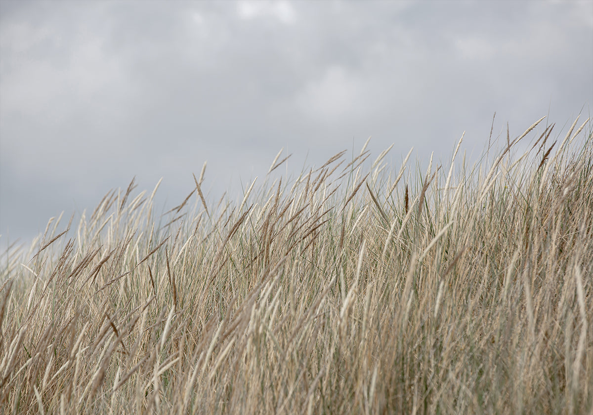 Dunes and Clouds Plakat