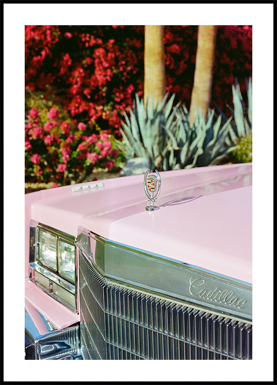 Palm Springs Ride III Plakat