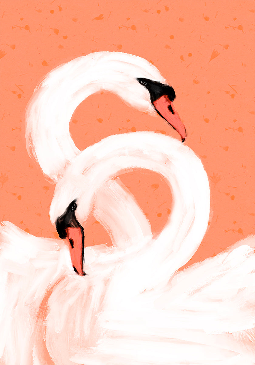 Graceful Swans Plakat