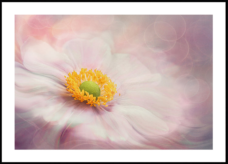 Dreams of Flower Plakat