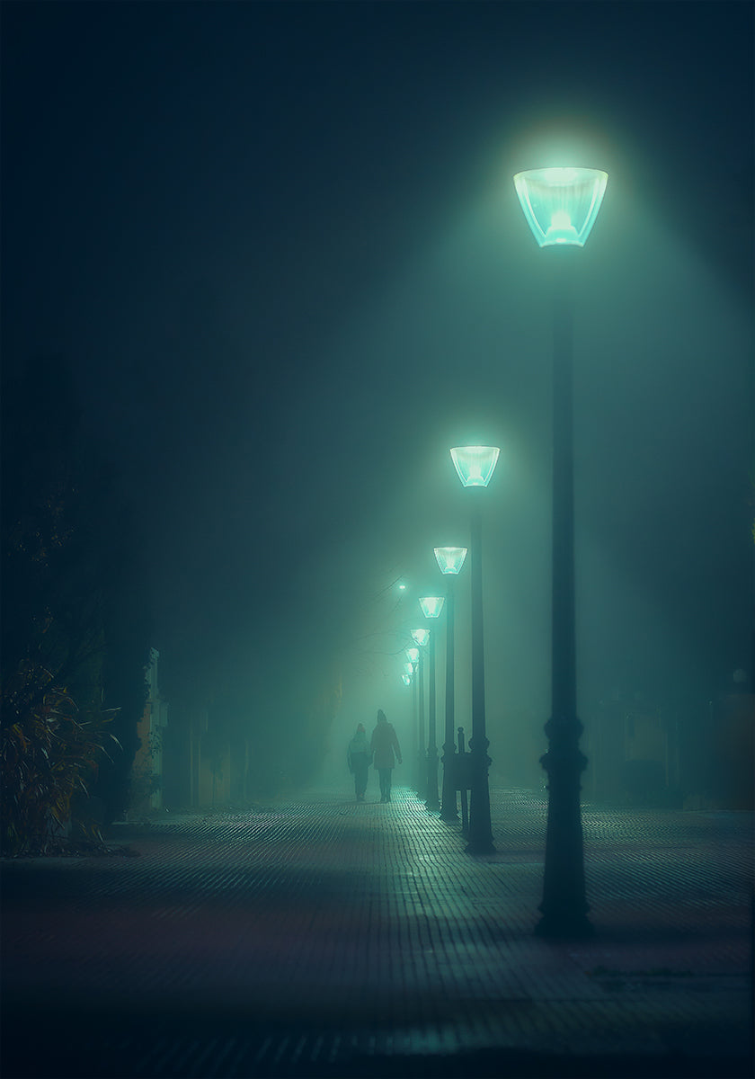 Into the Fog Plakat