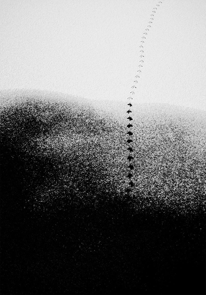 Footsteps in the snow Plakat