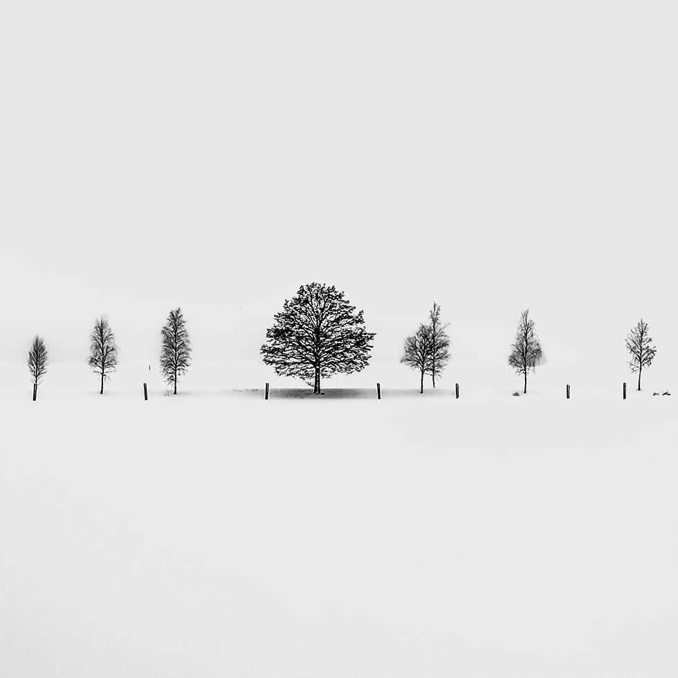 Together Alone Plakat