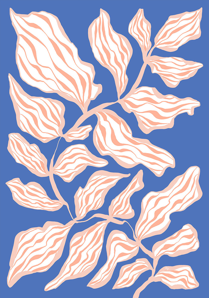 Evevning Glory Plakat