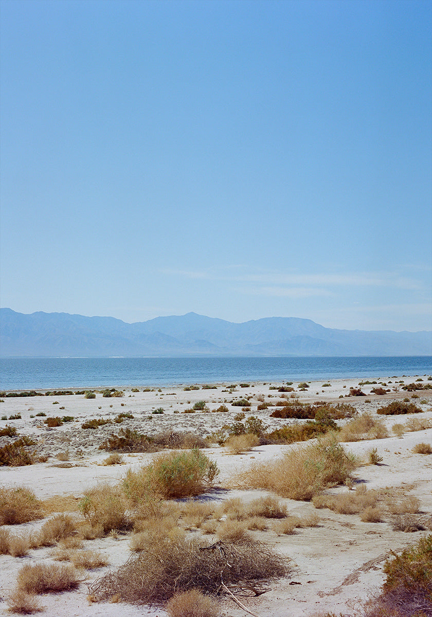 Bombay Beach Spring II Plakat