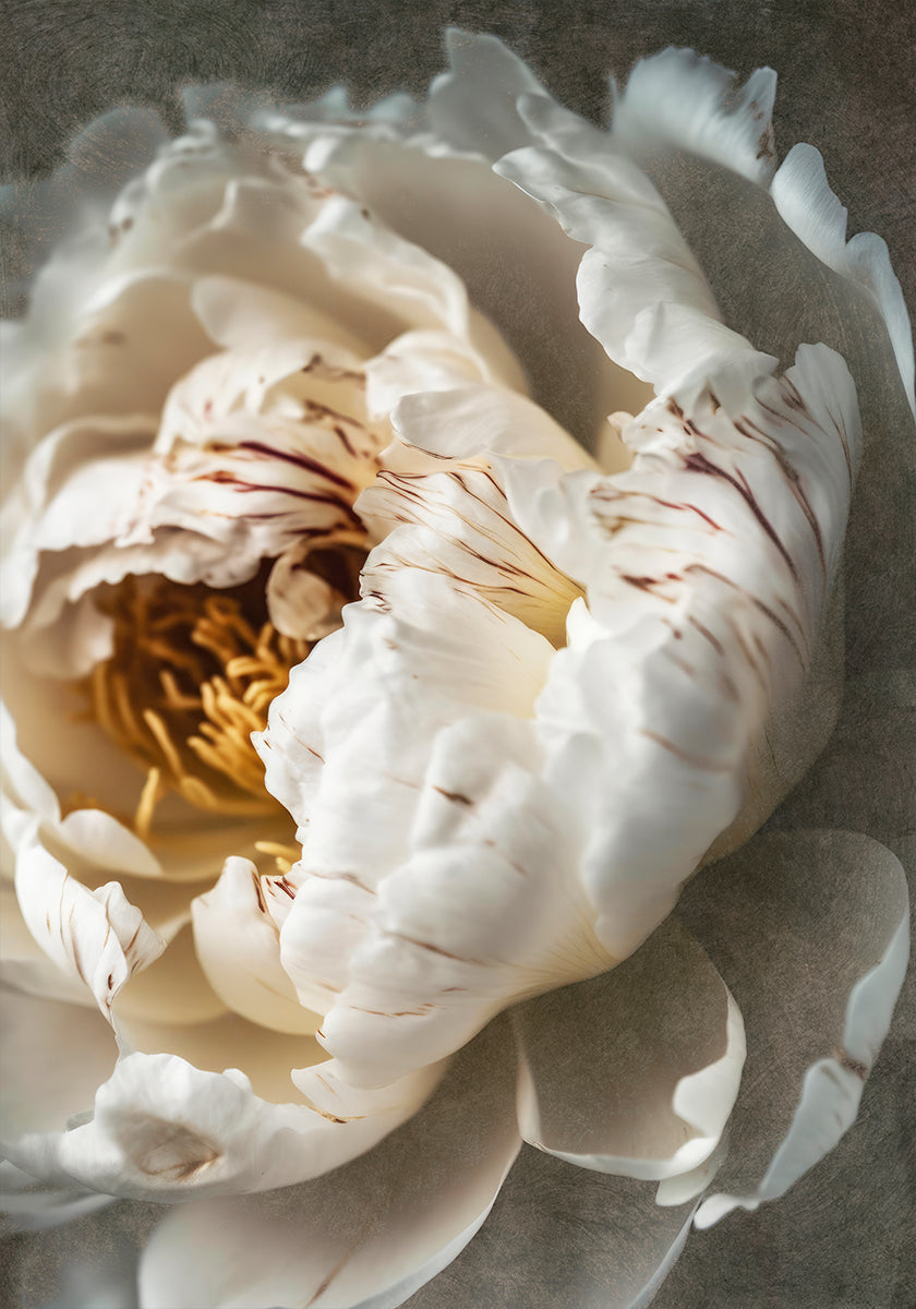 Petals of Serenity Plakat