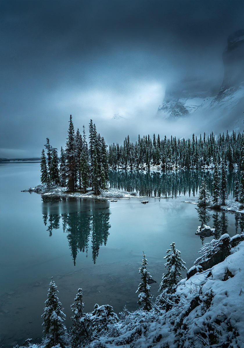 A moody morning Plakat