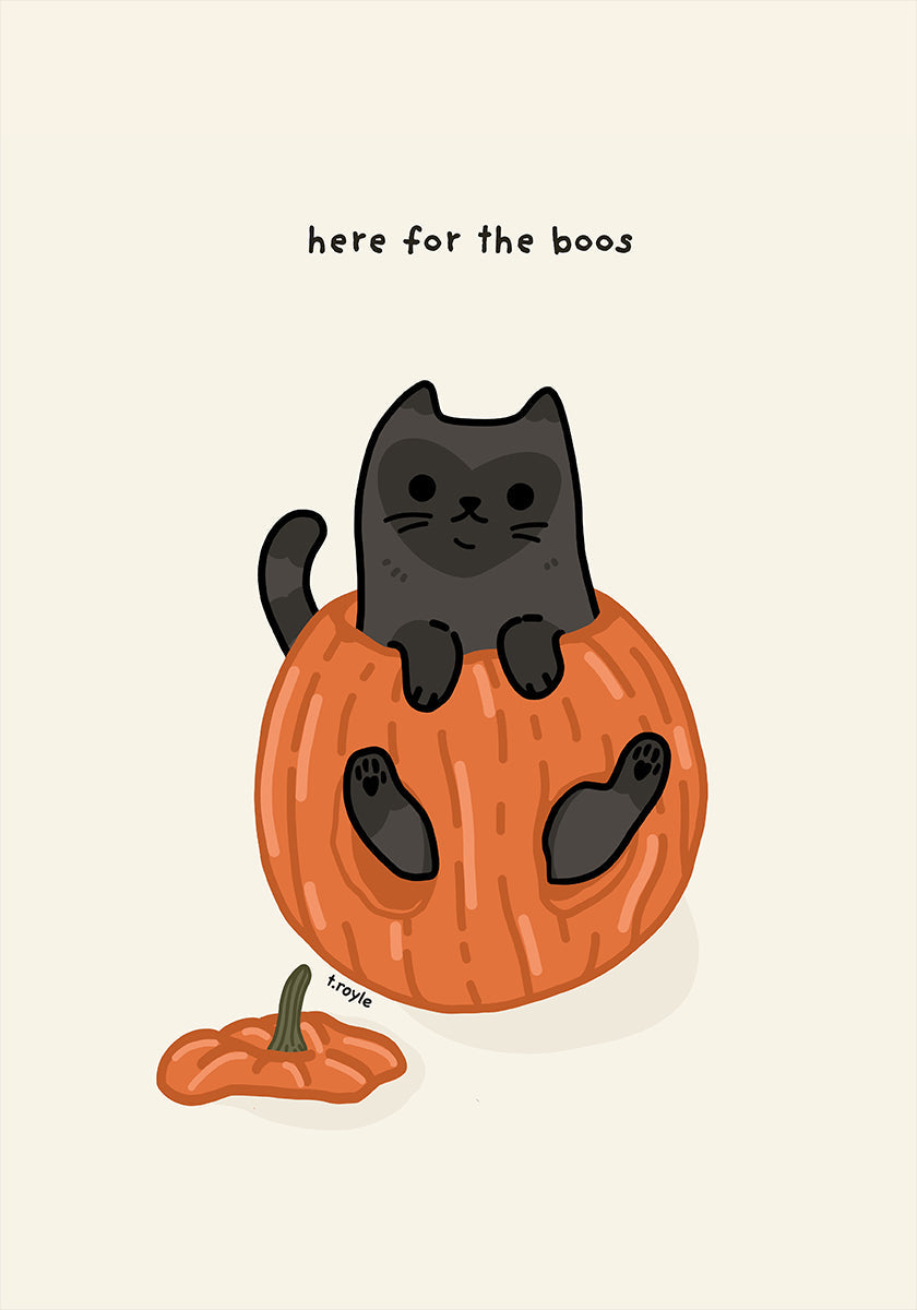 Black Cat Playfully Sitting In A Pumpkin Plakat