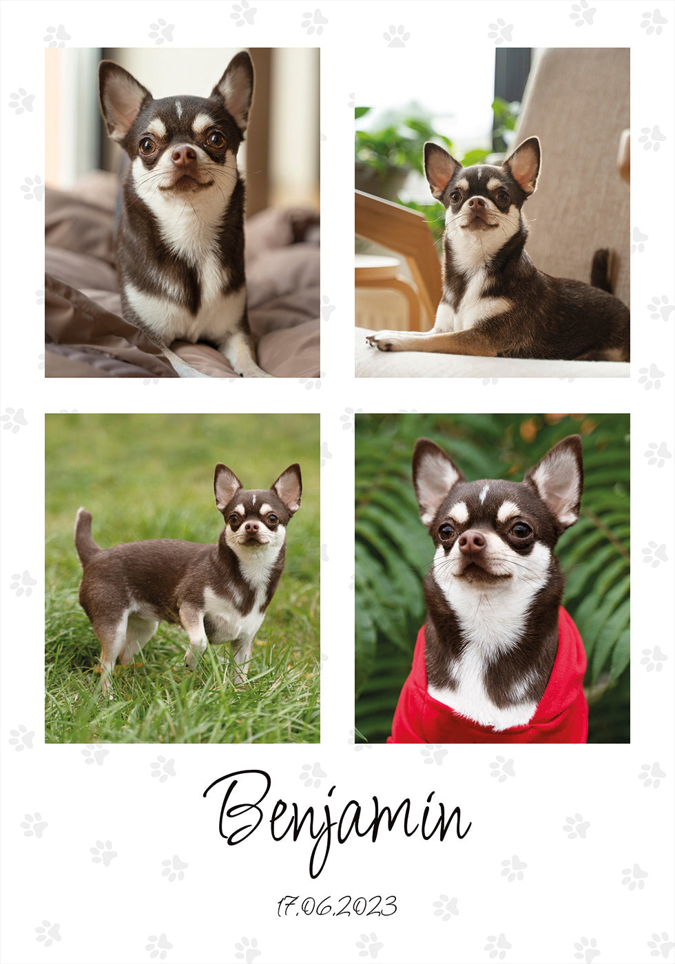 Pet Photo Collage Personal Plakat