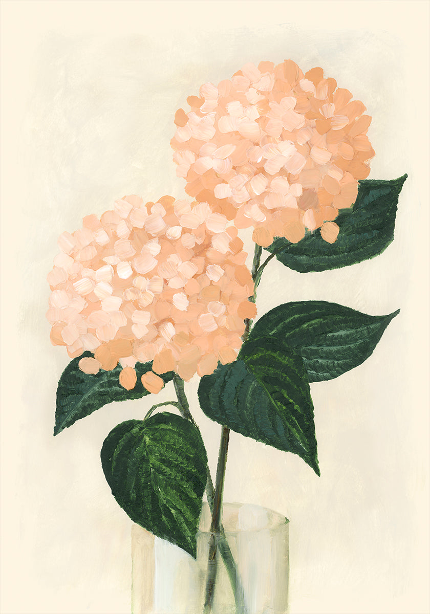 Coral hydrangeas in a vase Plakat