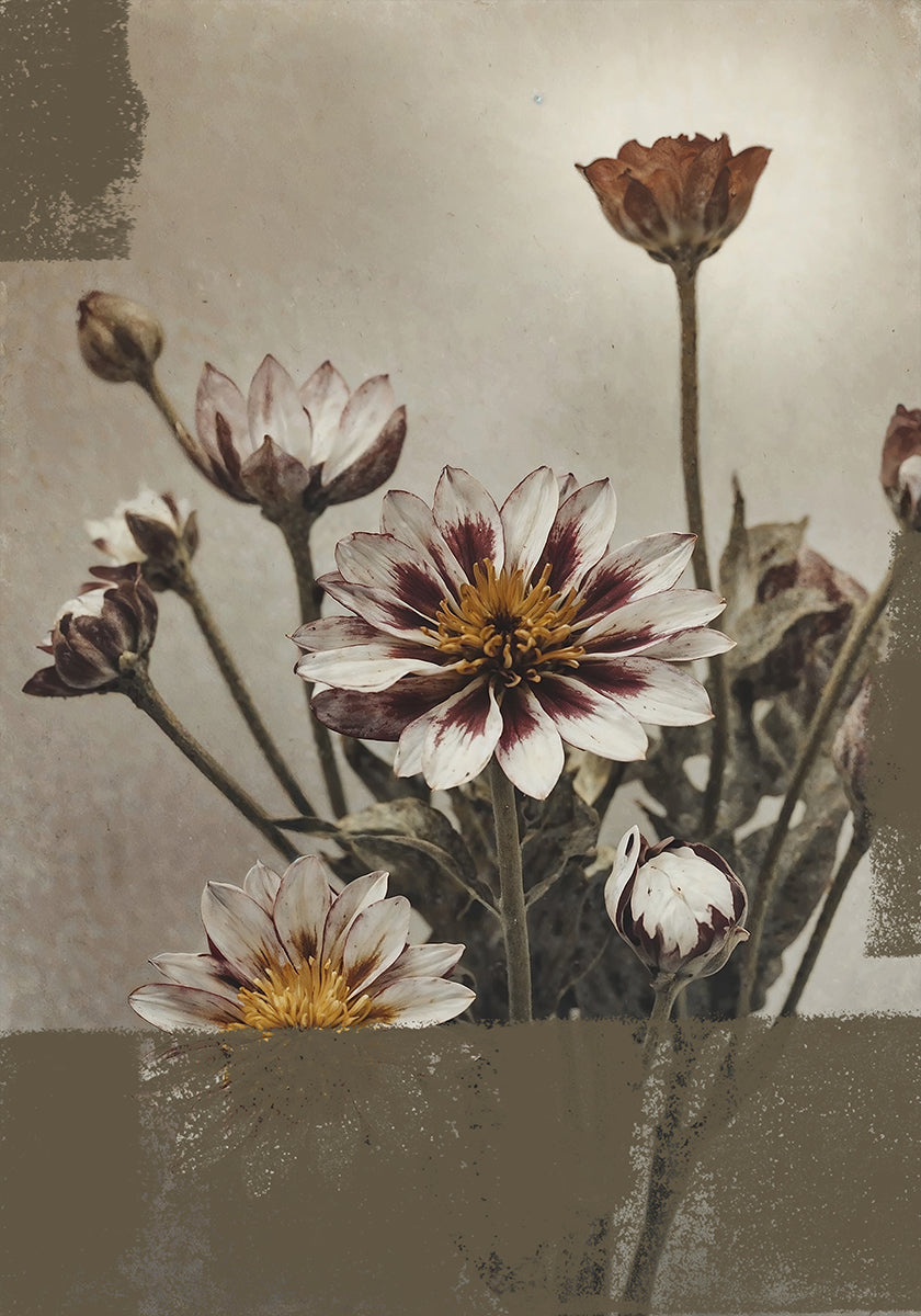 5 Vintage Flowers Plakat