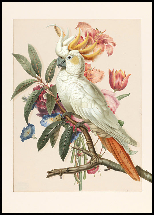 Henriëtta’s Bird Plakat