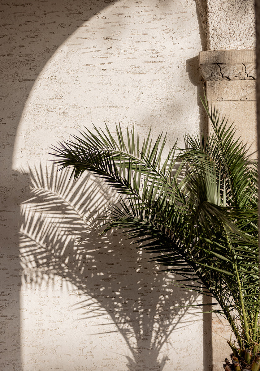 Arched Light 2 Plakat