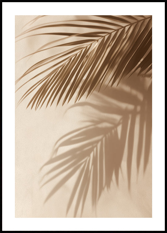 Palm Leaf Shadows Plakat