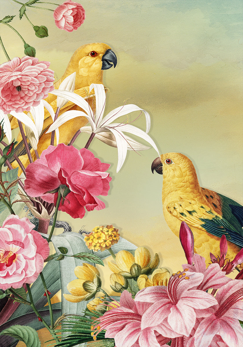 Birds From Paradise Plakat