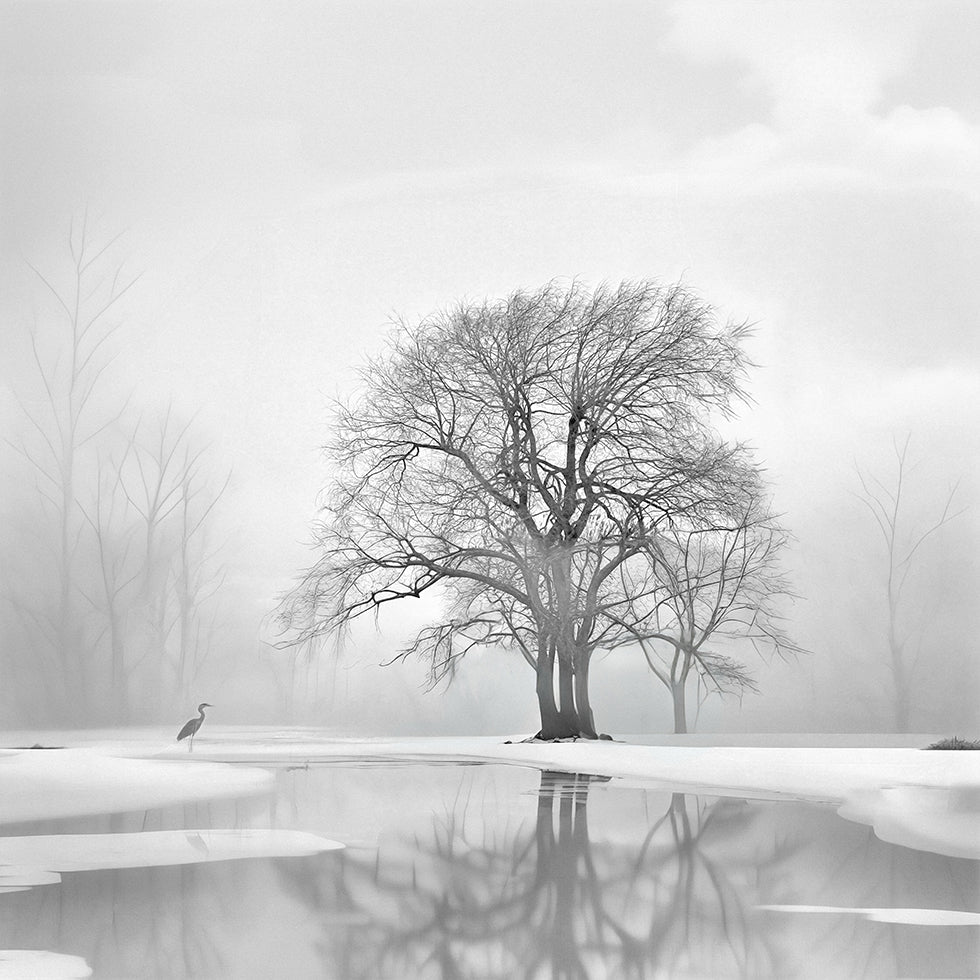 Tranquility after the snow Plakat