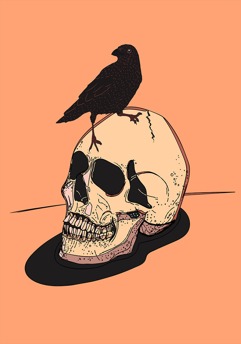 Skull And Raven Plakat