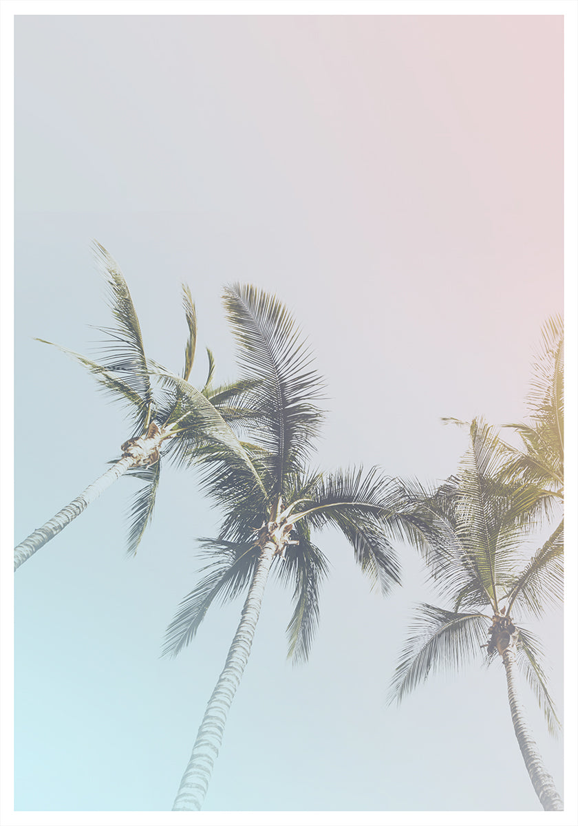 Pastel Palms Bliss Plakat