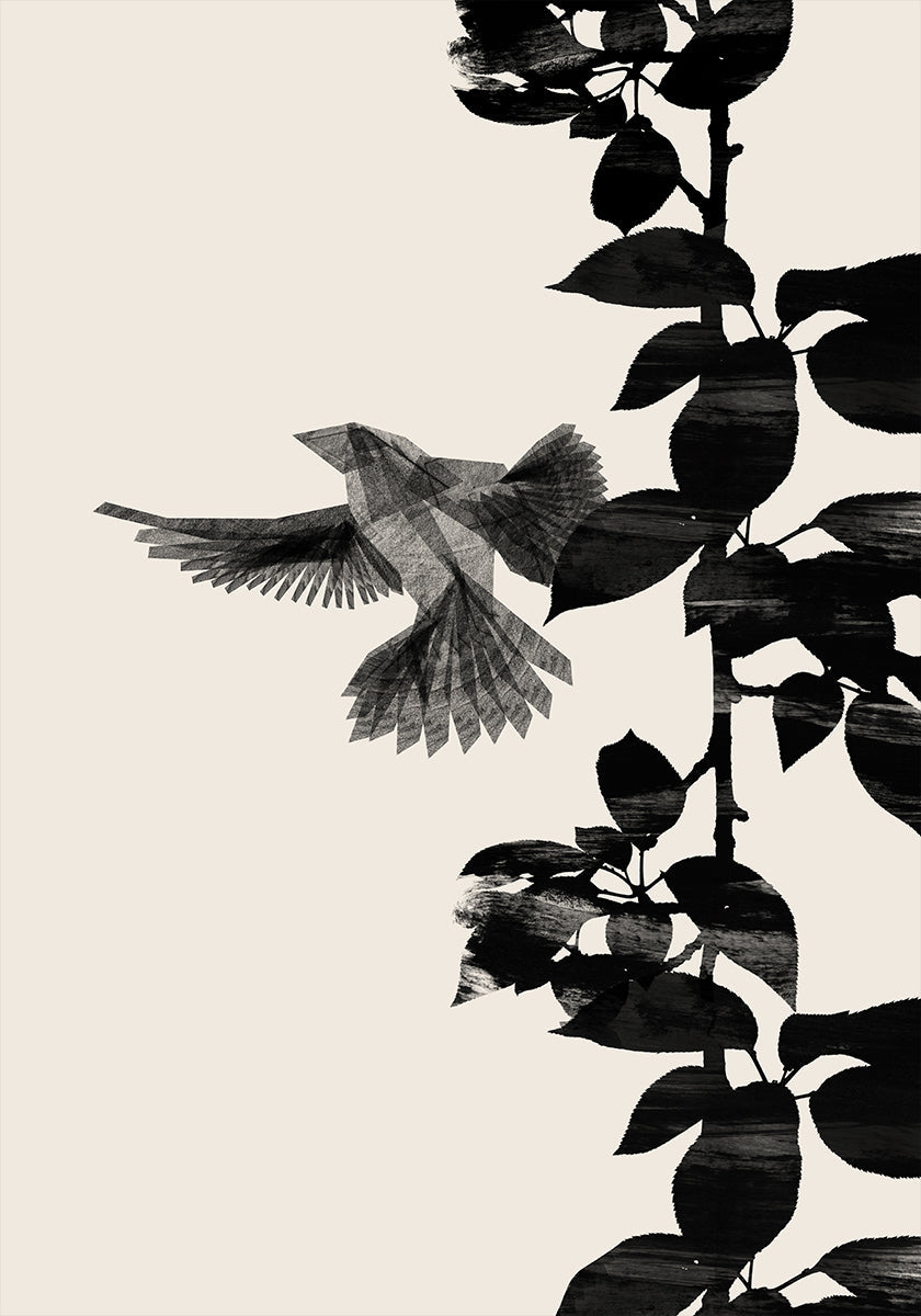 Bird Botanical Plakat