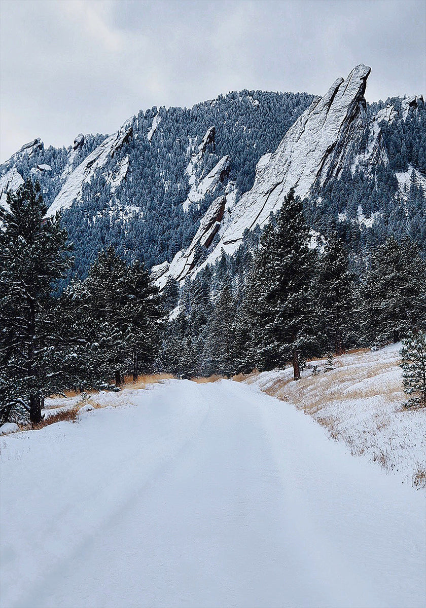 Frozen Flatiron Plakat