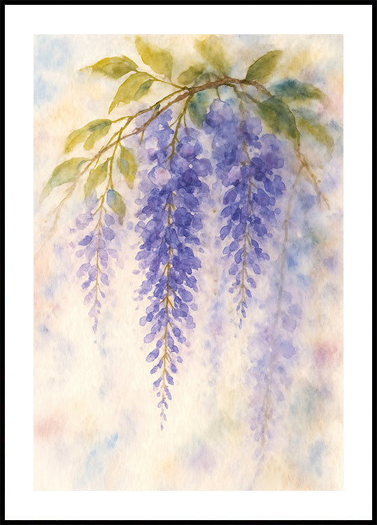 Hanging Wisteria In Soft Pastel Colours Plakat
