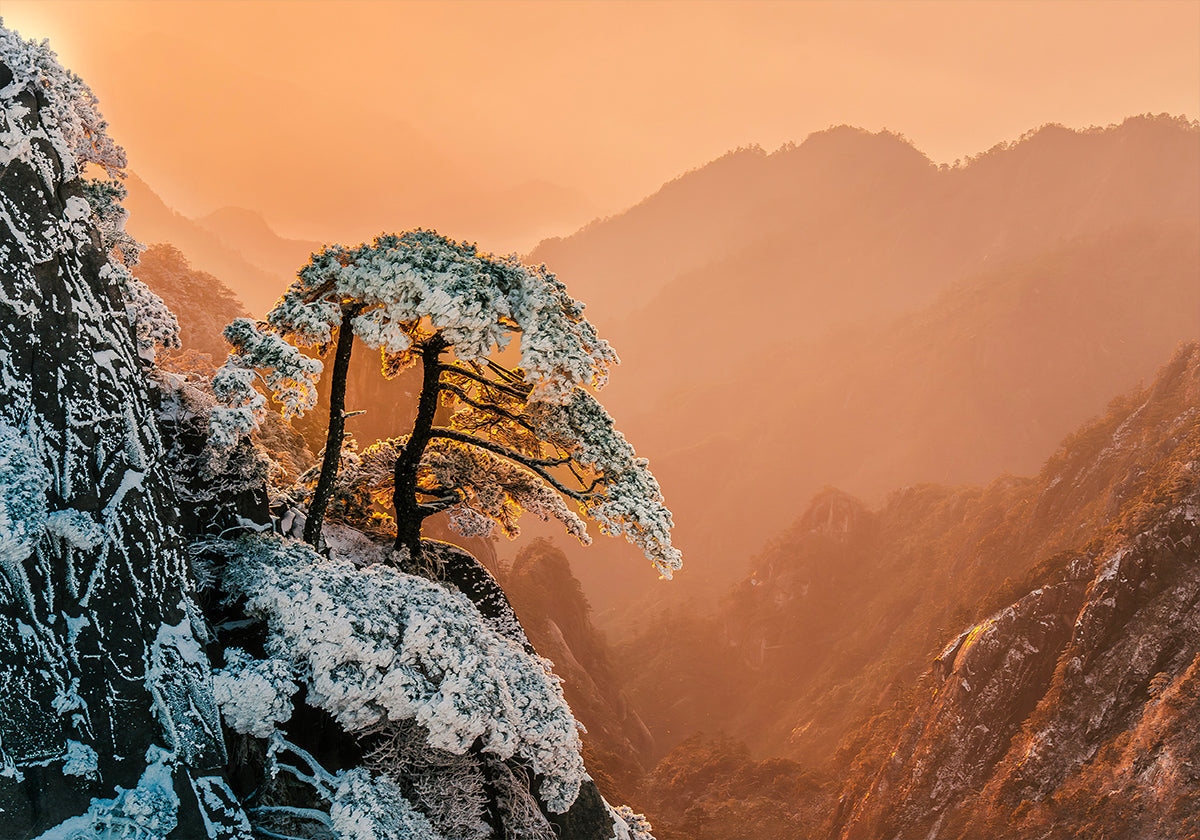 Resilience on the Edge Plakat