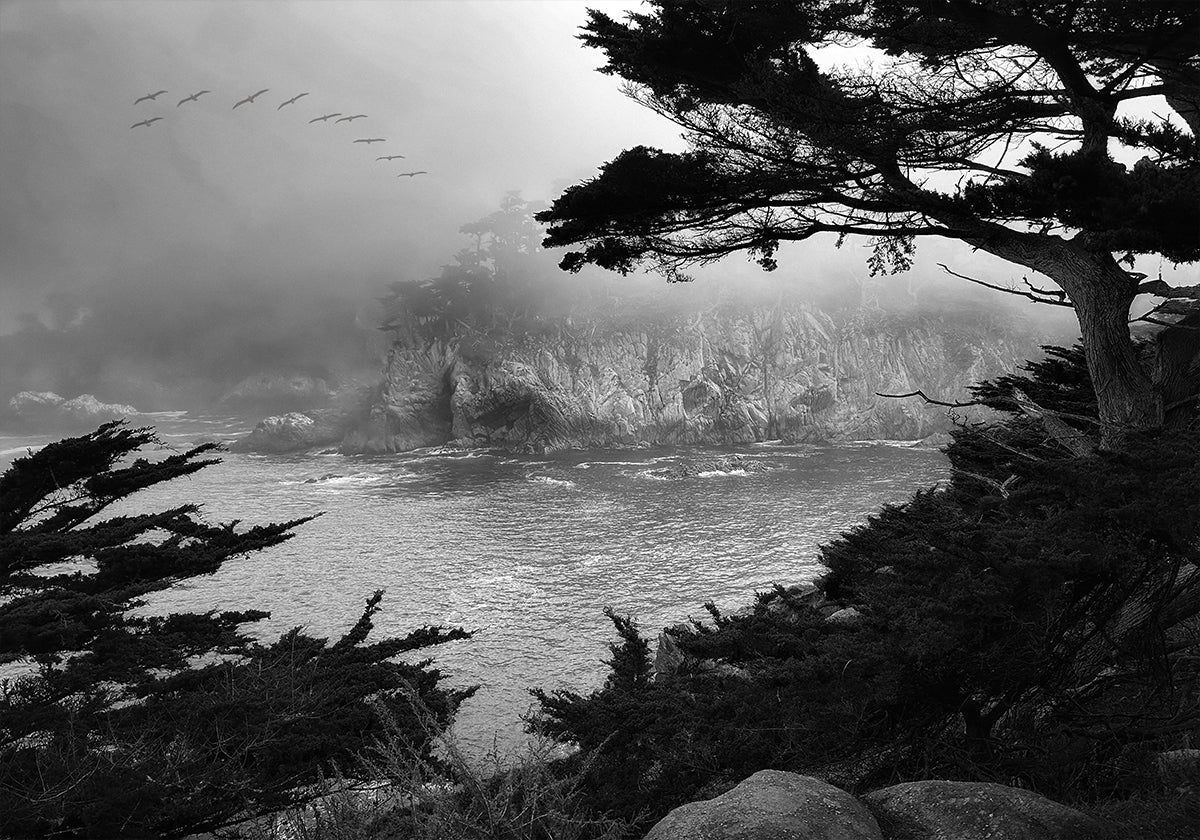 Foggy Morning Central Coast Plakat