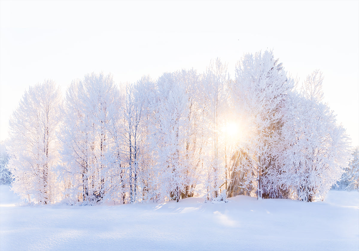 The light returns Plakat