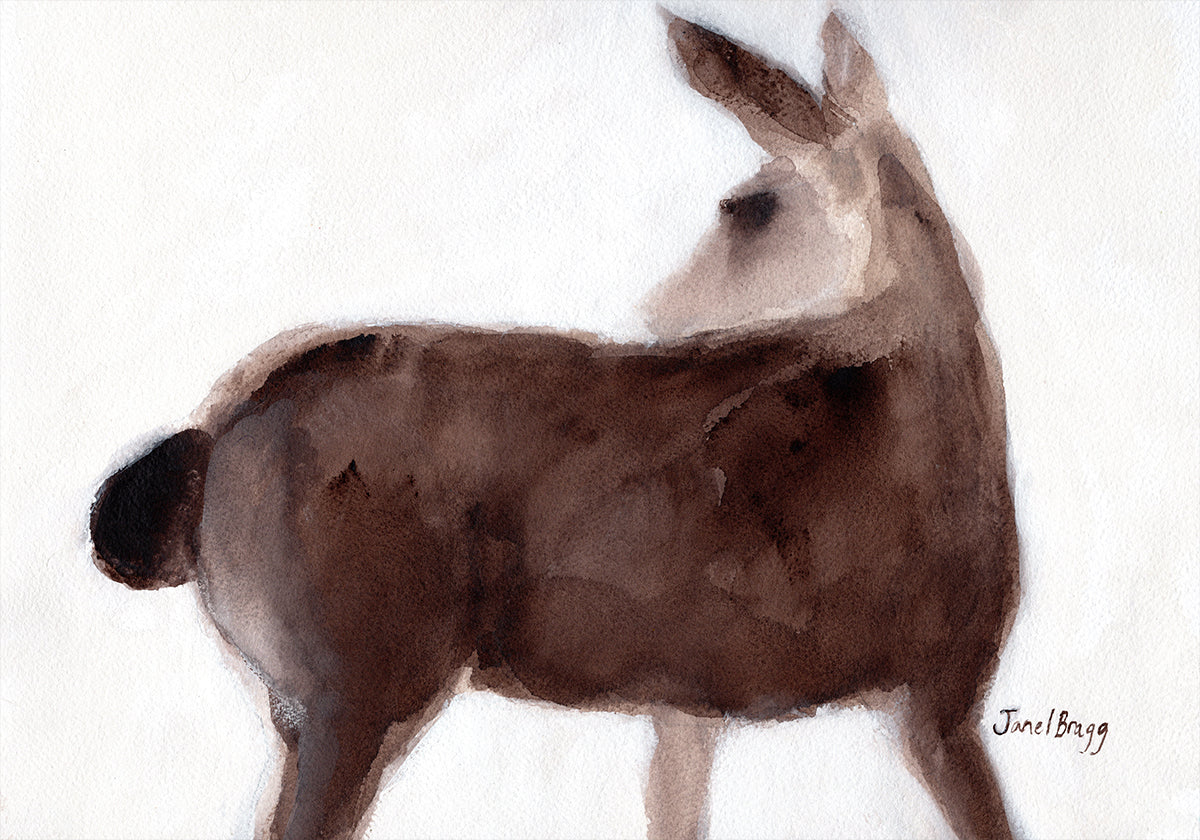 Deer On Creekside Lane Plakat