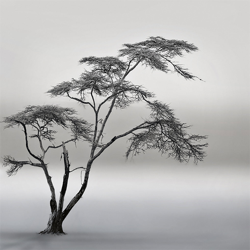 a very long story Plakat