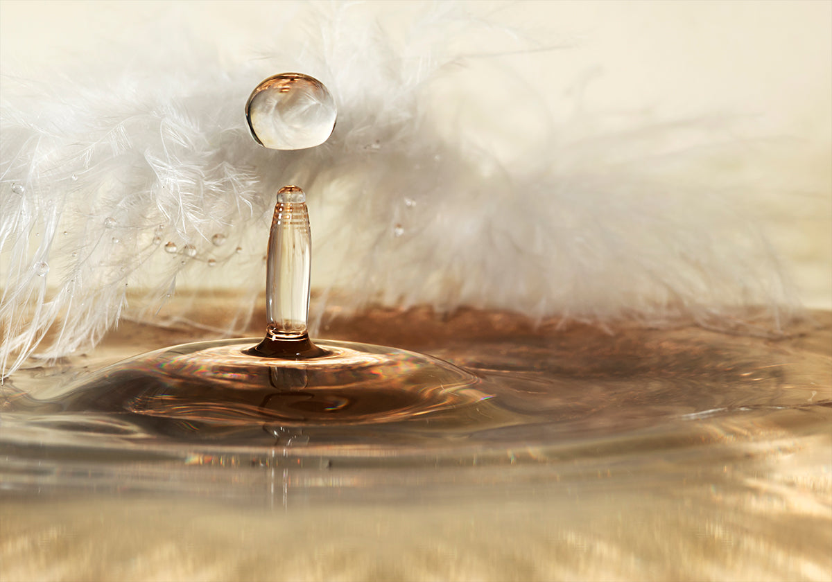 Golden featherdrops Plakat