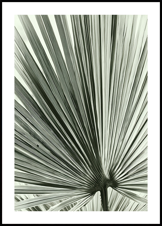 Palm Leaf Plakat