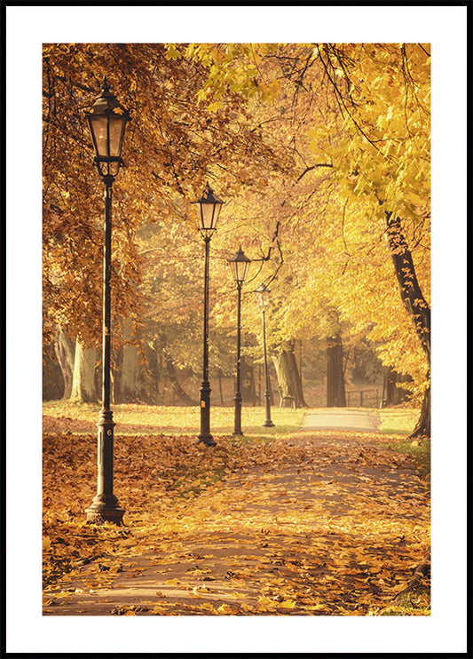 a path in a park lined with trees with yellow leaves