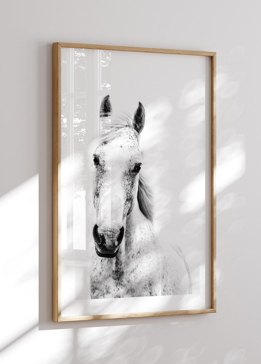 White Horse Plakat - Posterbox.no