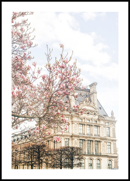 Parisspring Ratio2x3 Plakat