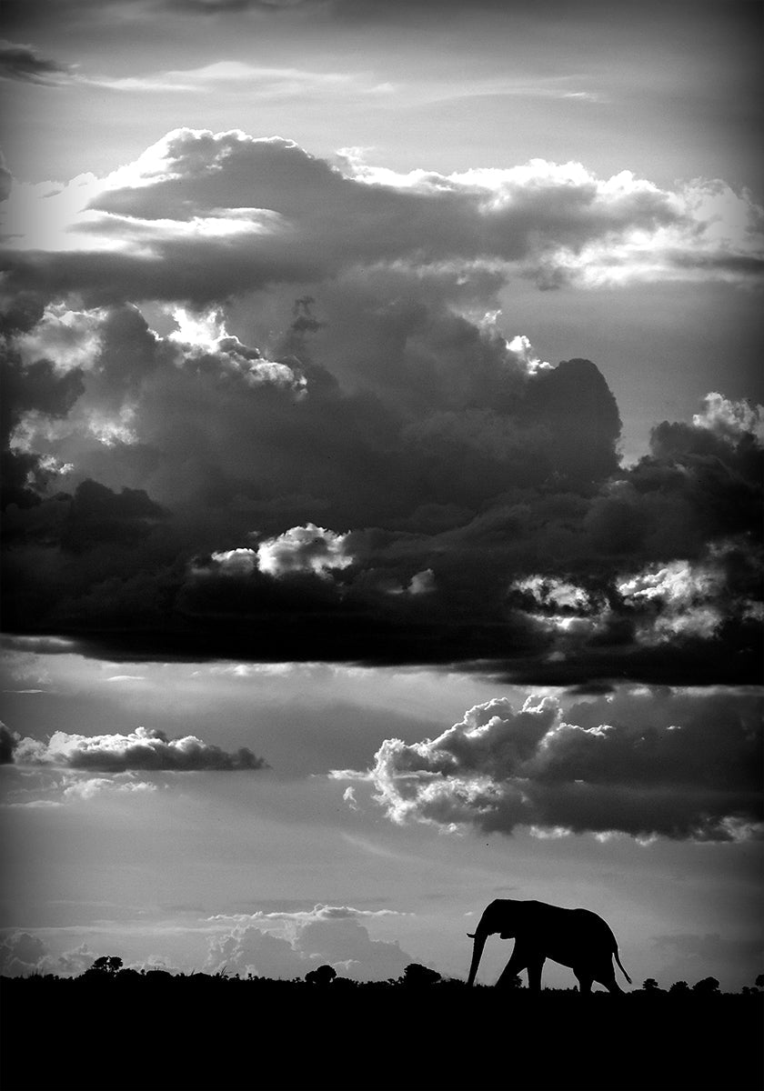 He walks under an African Sky Plakat