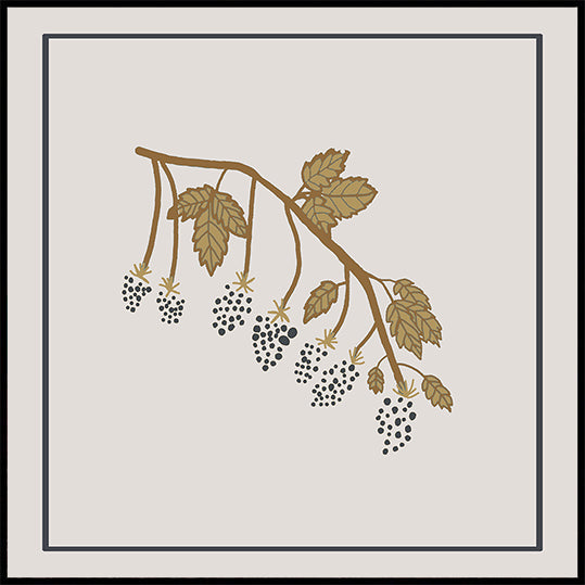 Blackberry Spring Plakat
