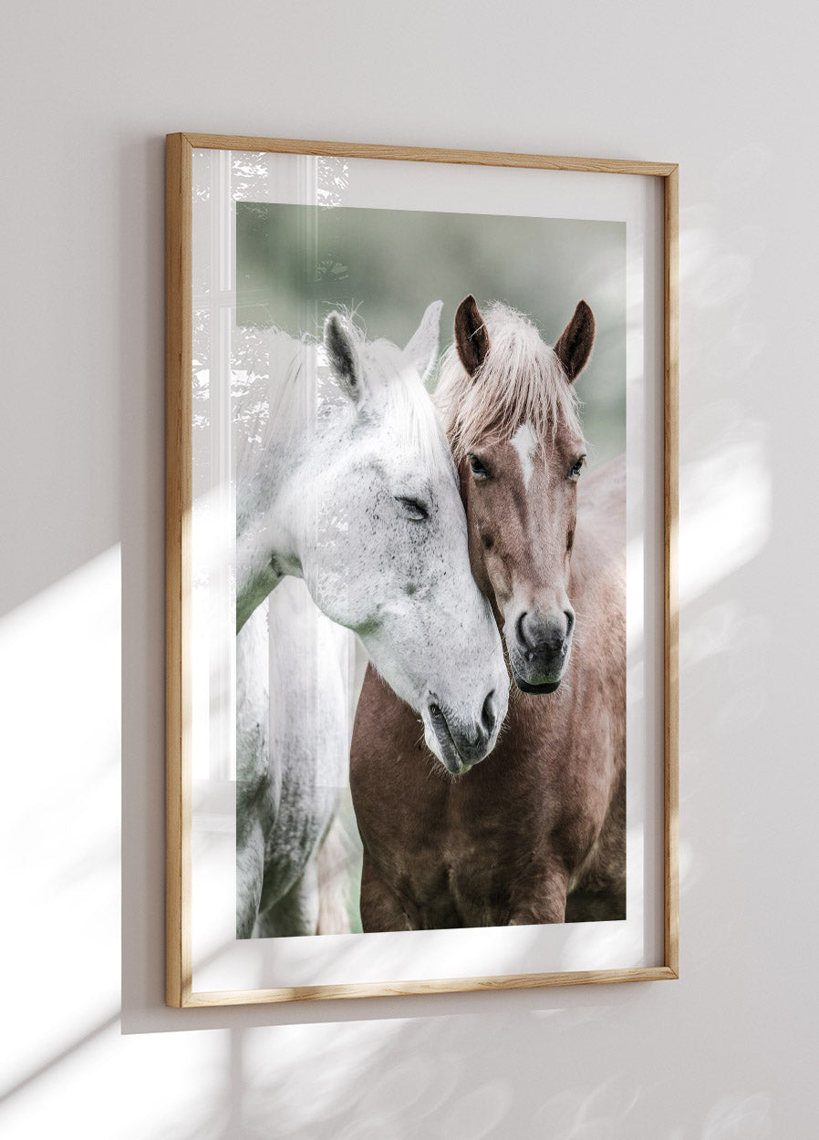 Wild Horses Close Up Plakat - Posterbox.no